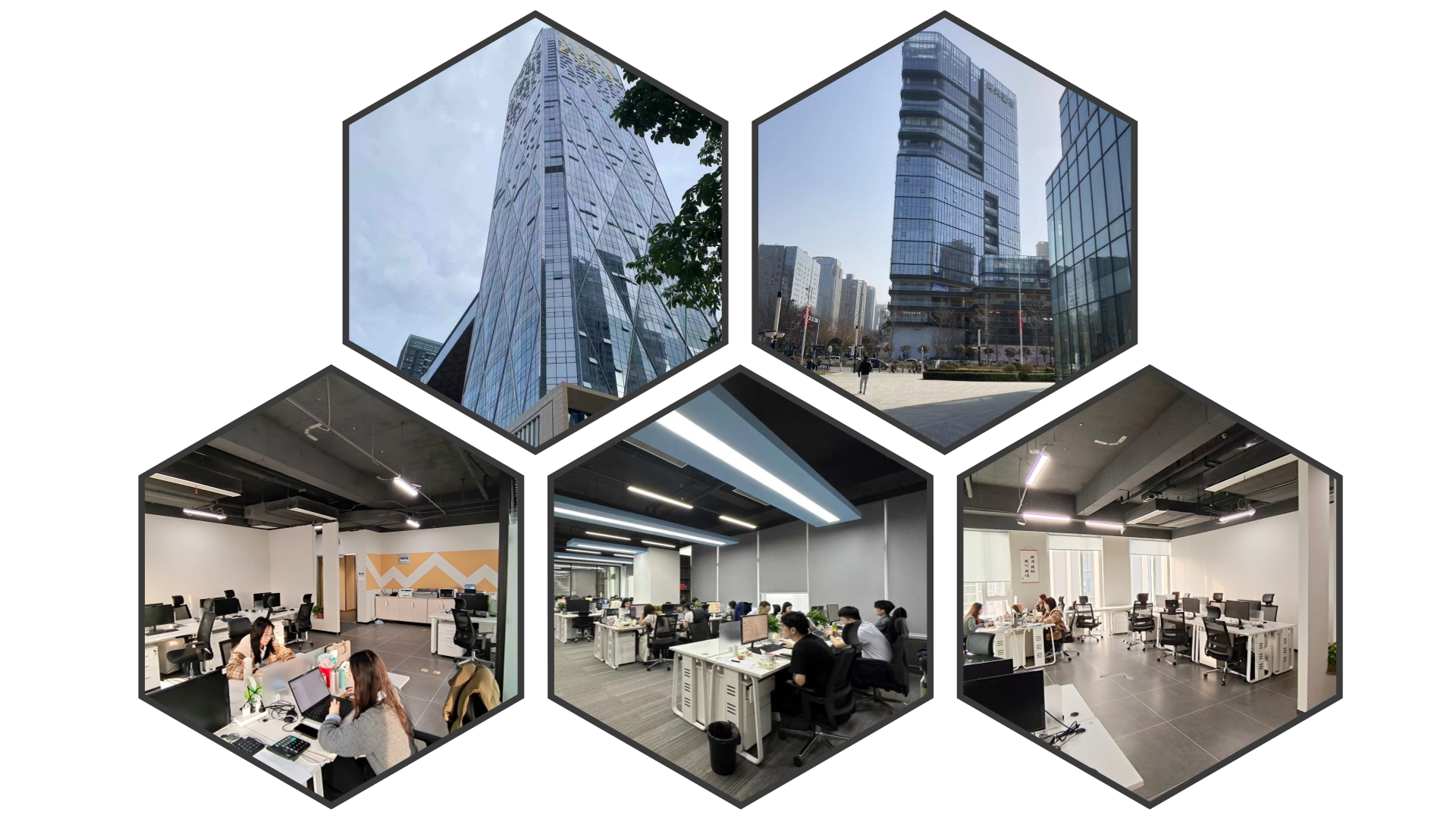Our Office Environment-primefreightnet