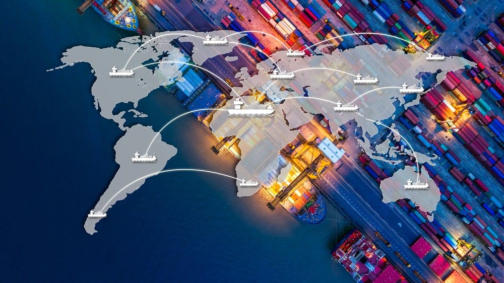 Logistics professional checking customs documentation for Australian imports